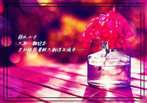 卡西尼用英语怎么说,卡西尼的英文翻译