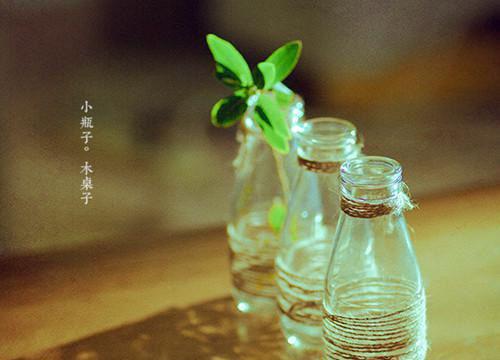 高三议论文:话说低碳