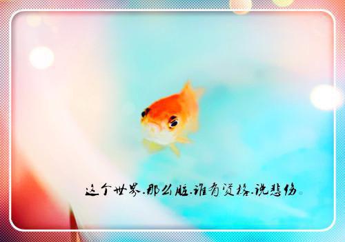 内亲王用英语怎么说,内亲王的英文翻译
