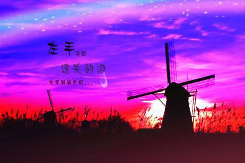 初二写景作文:落叶也美丽