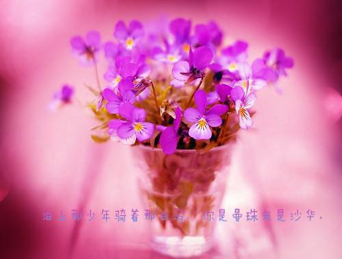 葫用英语怎么说,葫的英文翻译