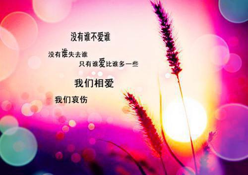 六年级写人作文:我最敬佩的人
