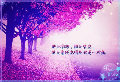 可恶用英语怎么说,可恶的英文翻译