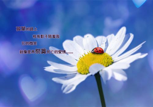 关于夏天的作文:夏天真热 2