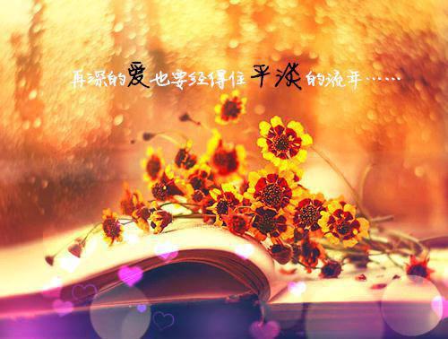 高二想象作文:假如我是老师 6