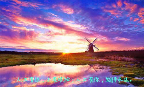 葺用英语怎么说,葺的英文翻译