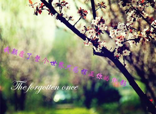 蜡笔用英语怎么说,蜡笔的英文翻译