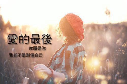 柝用英语怎么说,柝的英文翻译