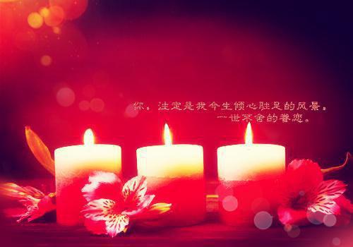 五年级观后感:《海底两万里》观后感二