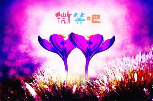 龙虾和我捉迷藏