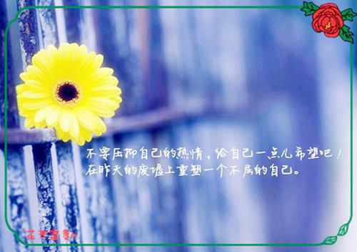 五年级演讲稿:我的梦想