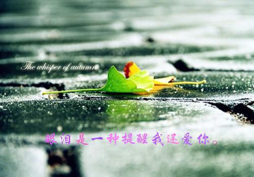 初三期末考试作文:亲情渐渐淡了