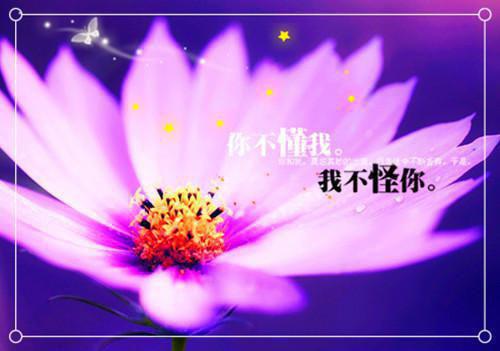 初一写景作文:秋夜赏菊