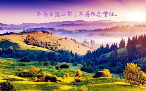 小升初满分作文:大美郑州
