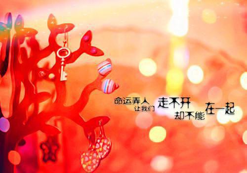 高三期中考试作文:年味，变淡了 26