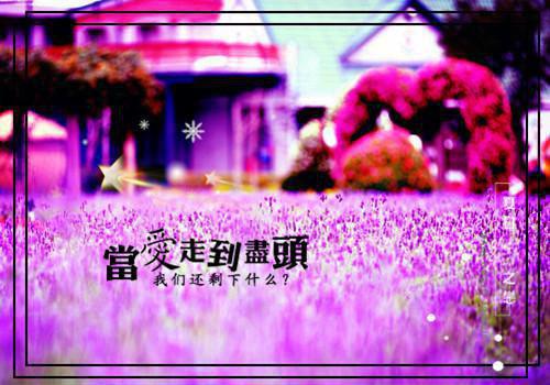 乙罂粟碱用英语怎么说,乙罂粟碱的英文翻译