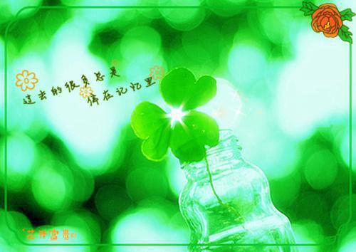 初三观后感:观《南征北战》有感