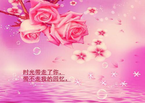 丝兰用英语怎么说,丝兰的英文翻译