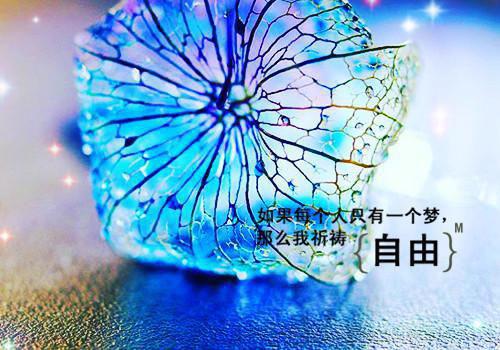 弱小用英语怎么说,弱小的英文翻译
