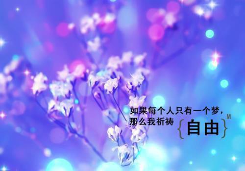 全息摄影机用英语怎么说,全息摄影机的英文翻译
