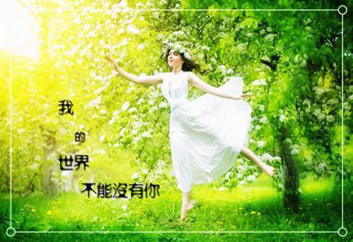 高二读后感:虞美人