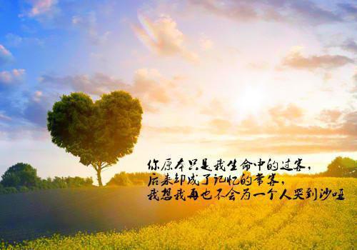 高三叙事作文:蜕变
