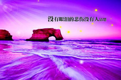 小学六年级班主任的期末评语170句