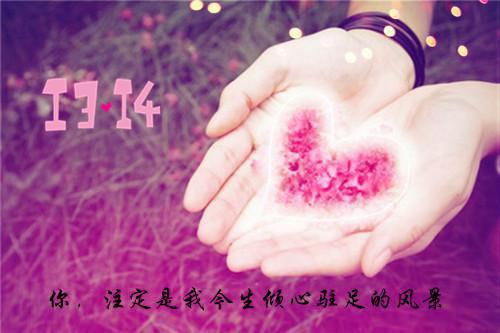 我学会了做西红柿炒鸡蛋