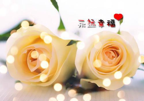 使掉下用英语怎么说,使掉下的英文翻译