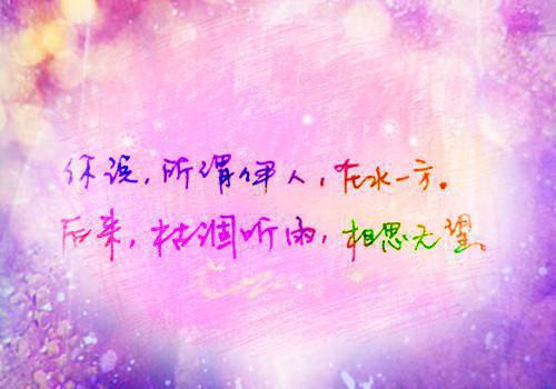 六年级读后感:《怀鲁迅》-读后感