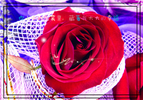 姗用英语怎么说,姗的英文翻译