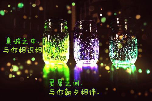 三刺角蝉属用英语怎么说,三刺角蝉属的英文翻译