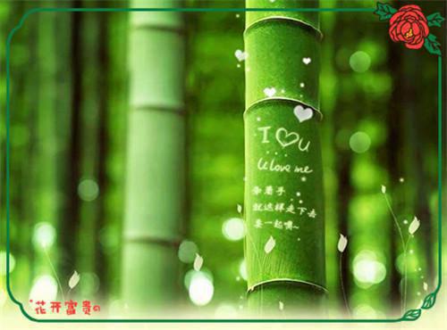 高三读后感:《傅雷家书》读后感 1