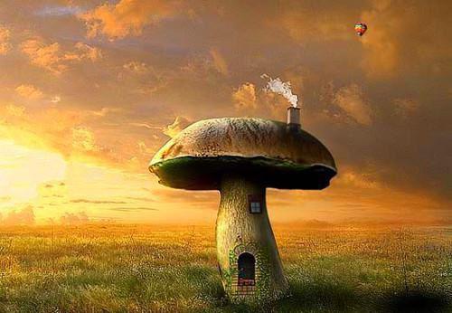 使成贵族用英语怎么说,使成贵族的英文翻译