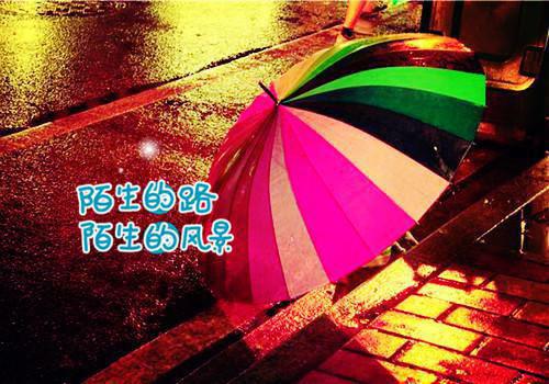 初一叙事作文:一个生命 一份责任