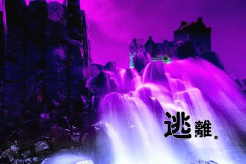 初二写景作文:腊梅