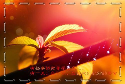 魔赛克用英语怎么说,魔赛克的英文翻译