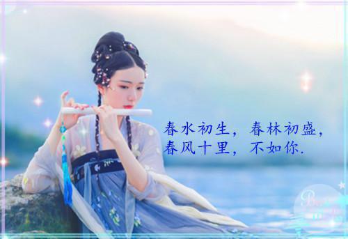 高三议论文:简单的生活