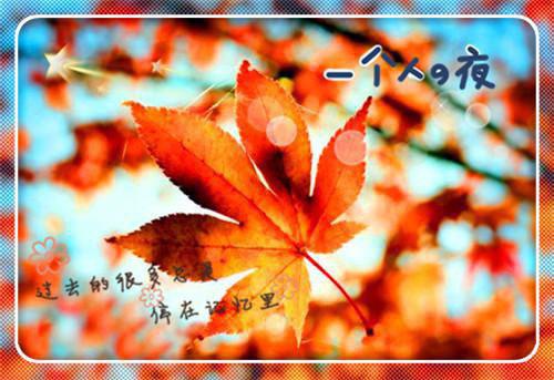 乌索酸盐用英语怎么说,乌索酸盐的英文翻译