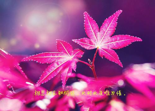 初一读后感:观《长江七号》有感