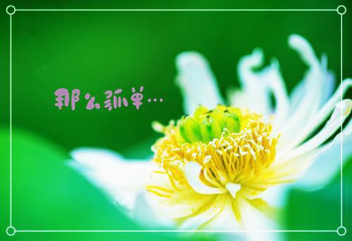 权衡用英语怎么说,权衡的英文翻译
