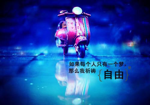 四年级日记:长隆野生动物园游记