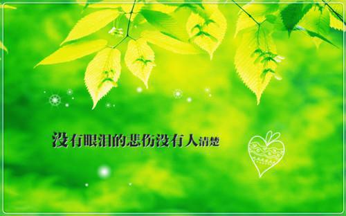浪漫爱情故事短篇