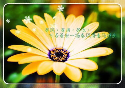 日记一则（2013-1-30）
