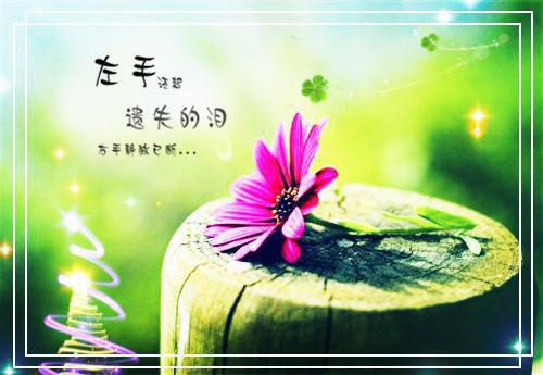 使服丧用英语怎么说,使服丧的英文翻译
