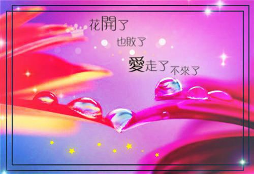 倾听用英语怎么说,倾听的英文翻译