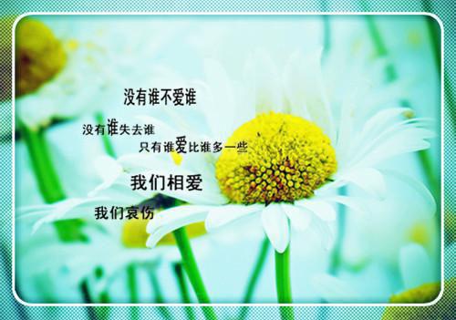 醮用英语怎么说,醮的英文翻译