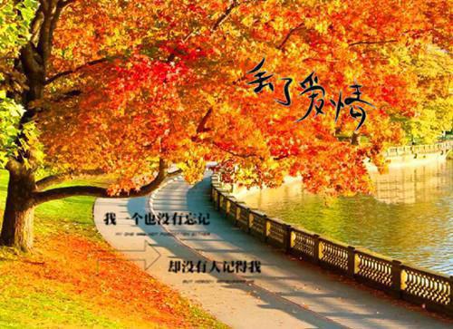 描写老师的名言或诗句