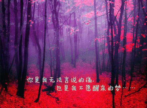 乌鸦的一种用英语怎么说,乌鸦的一种的英文翻译