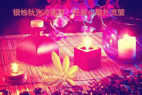 菊用英语怎么说,菊的英文翻译
